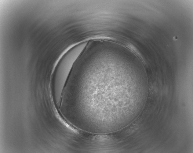 X0000065241092200602211206