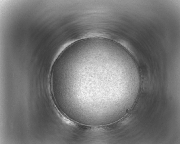 X0000065241094200602211206