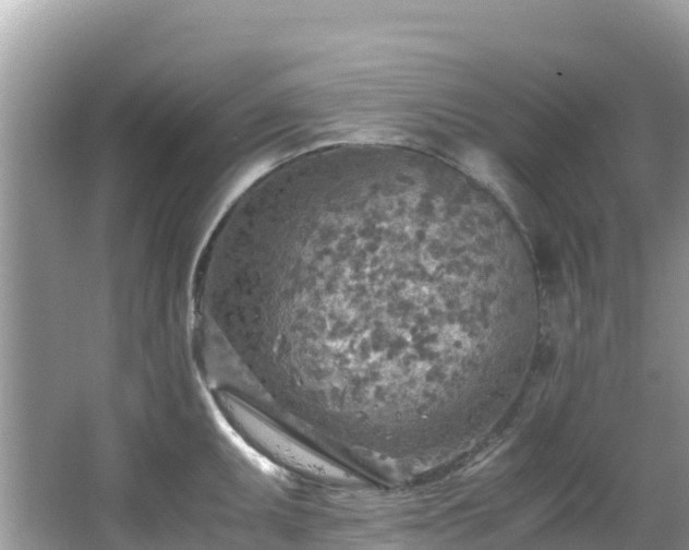 X0000065241095200602211206