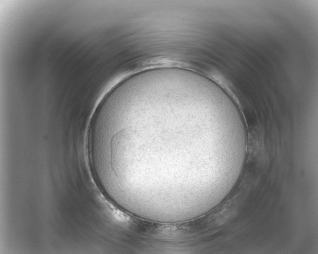 X0000065241098200602211206