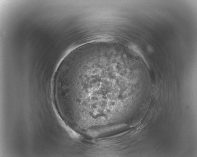 X0000065241099200602211206