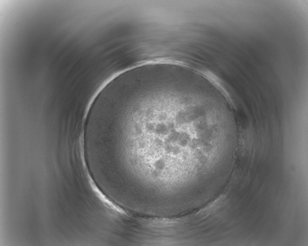 X0000065241100200602211206