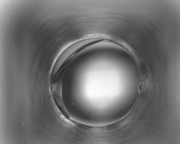 X0000065241102200602211206