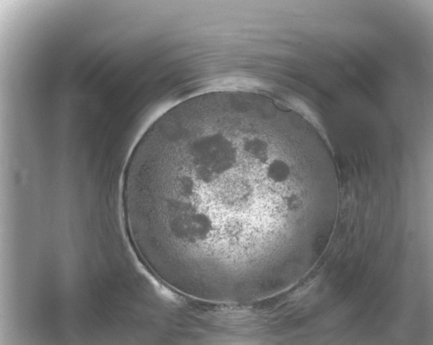 X0000065241103200602211206