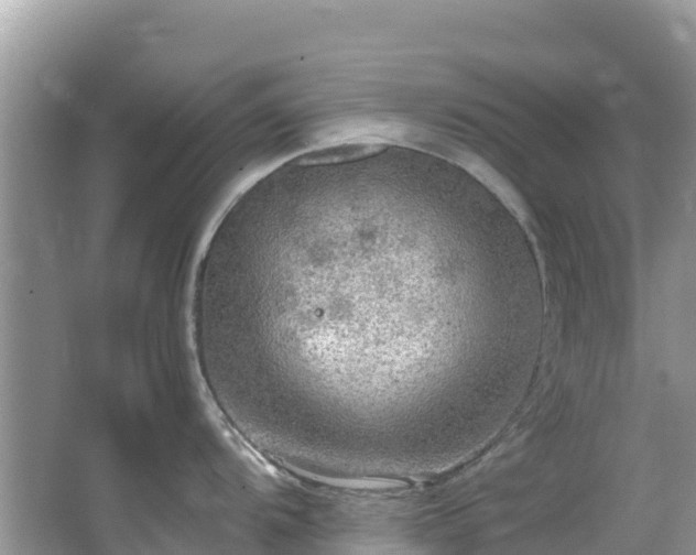 X0000065241104200602211206