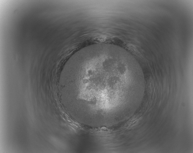 X0000065241105200602211205