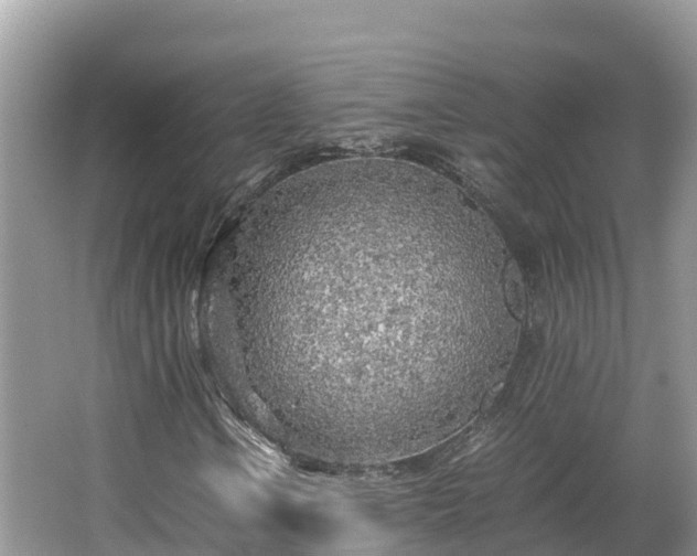 X0000065241106200602211205