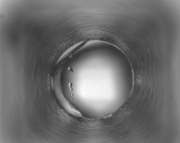 X0000065241108200602211205