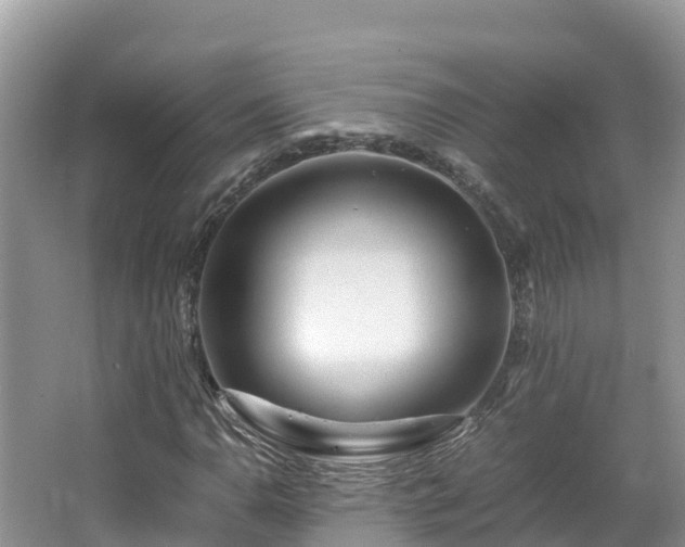 X0000065241110200602211205