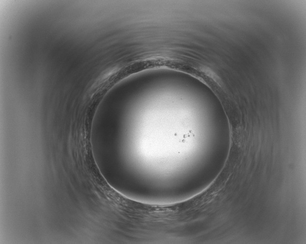 X0000065241111200602211205