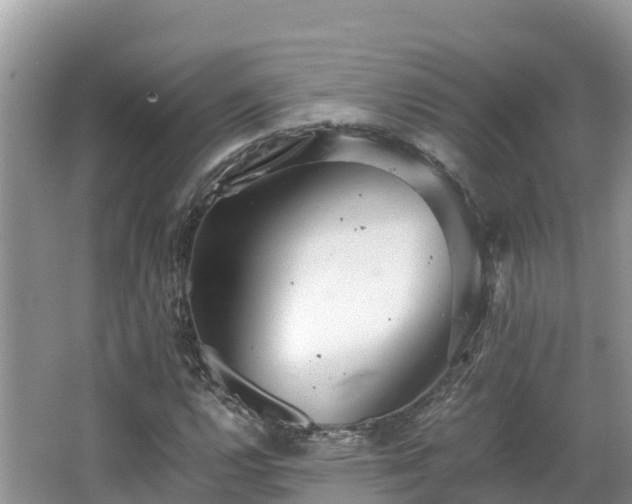 X0000065241112200602211205