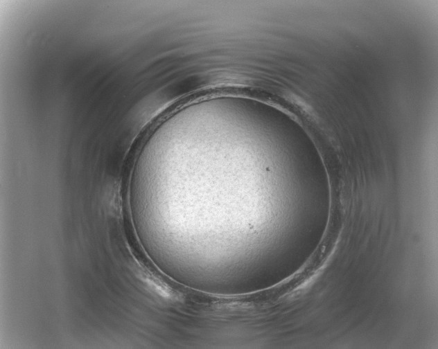 X0000065241113200602211205