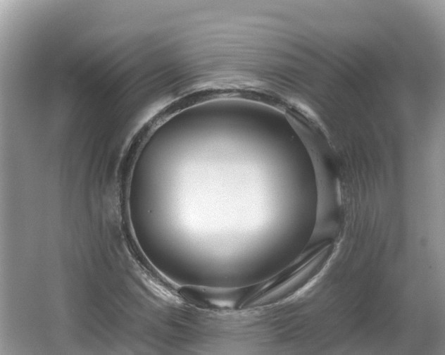 X0000065241114200602211205