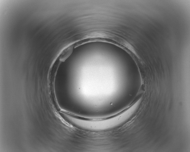 X0000065241116200602211205