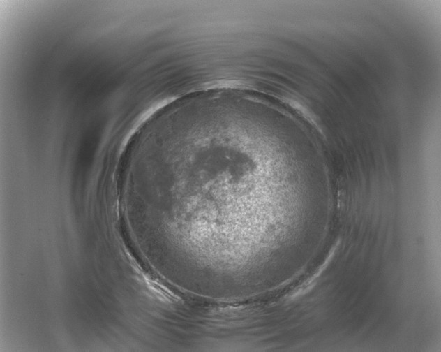 X0000065241117200602211205