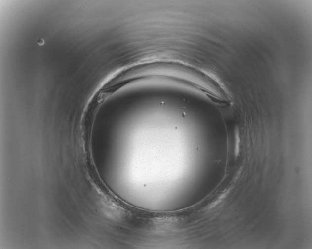 X0000065241118200602211205