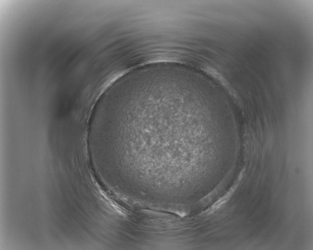 X0000065241121200602211205