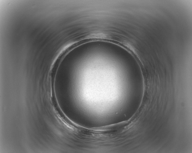 X0000065241123200602211205