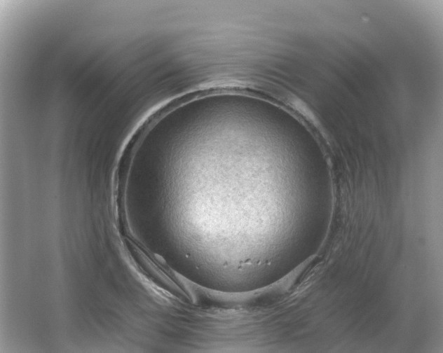 X0000065241124200602211205