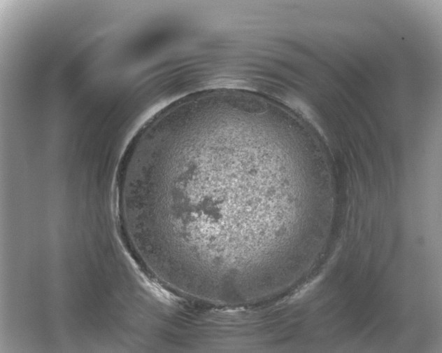 X0000065241125200602211205