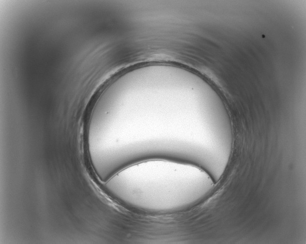 X0000065241126200602211205