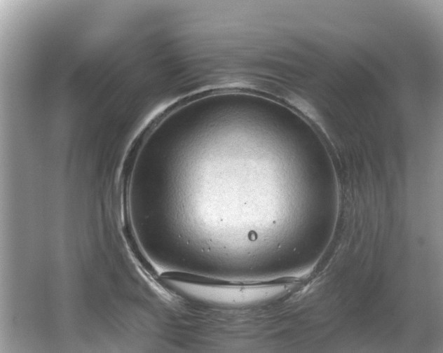 X0000065241127200602211205