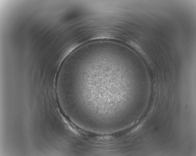 X0000065241129200602211205