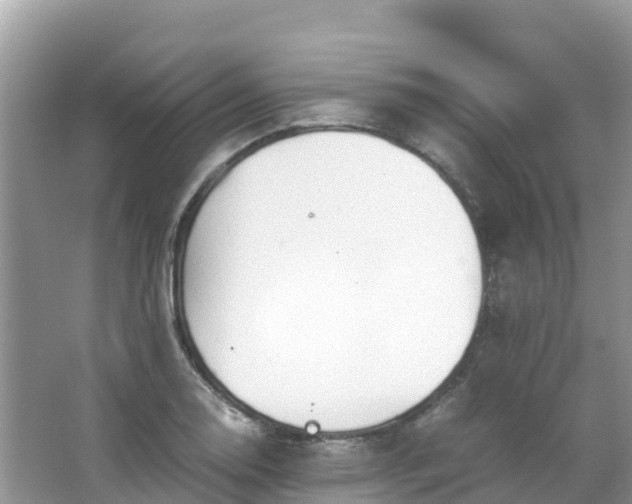 X0000065241130200602211205