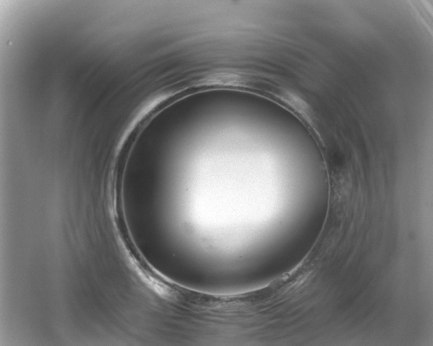 X0000065241131200602211205