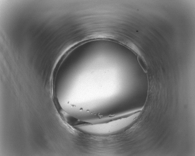 X0000065241132200602211205