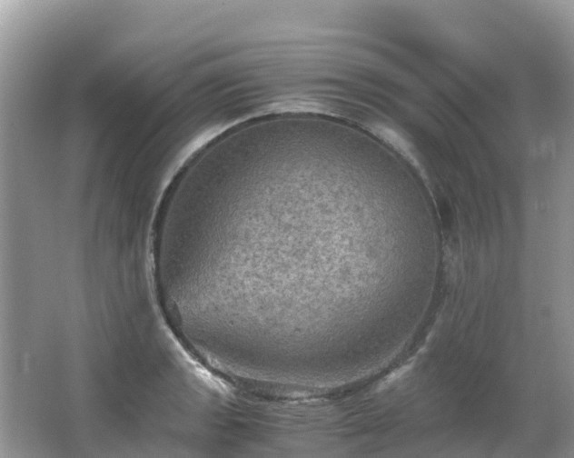 X0000065241133200602211205