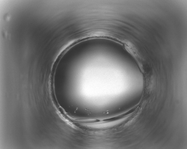 X0000065241134200602211205