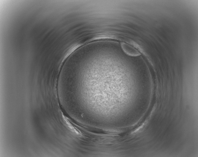 X0000065241137200602211205