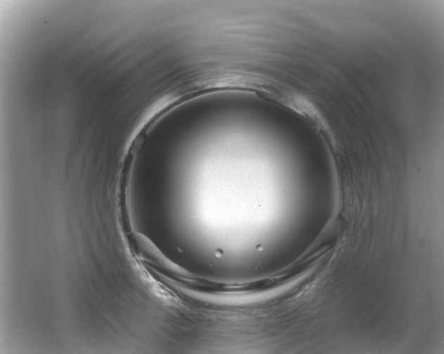 X0000065241138200602211205