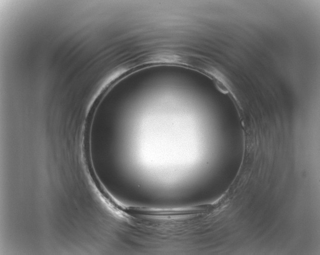 X0000065241139200602211205