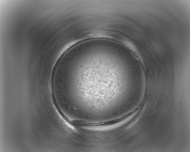 X0000065241141200602211205