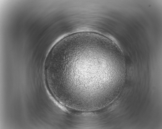 X0000065241142200602211205