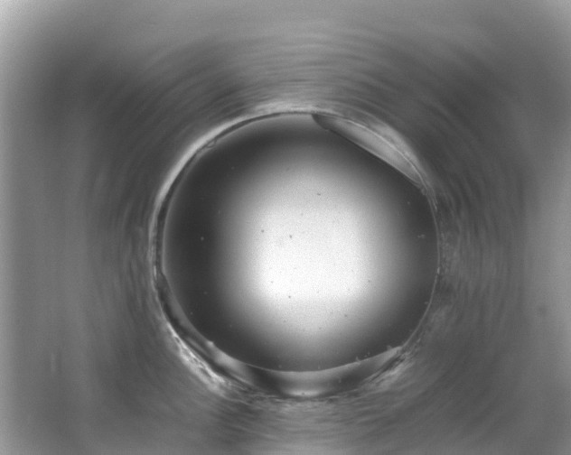 X0000065241148200602211206