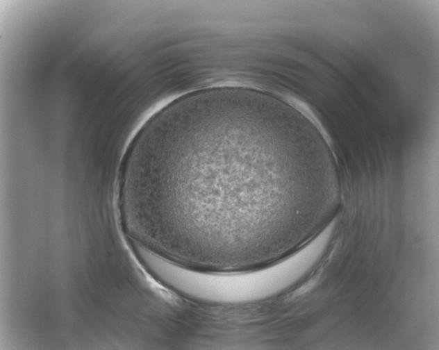 X0000065241149200602211206