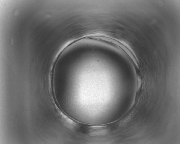 X0000065241151200602211206