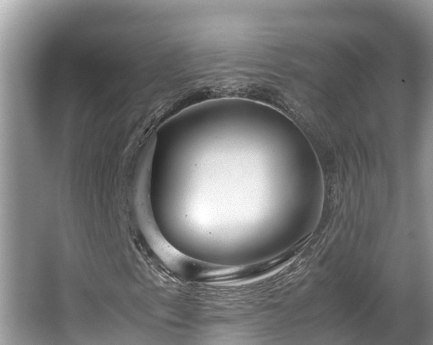 X0000065241153200602211205