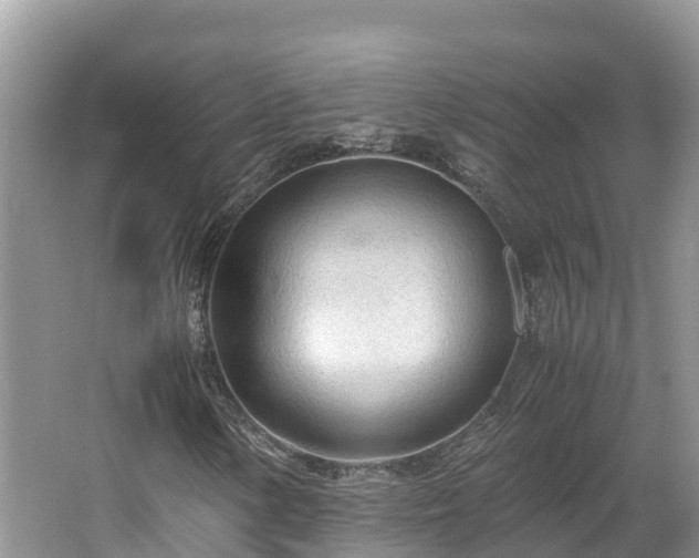 X0000065241154200602211205