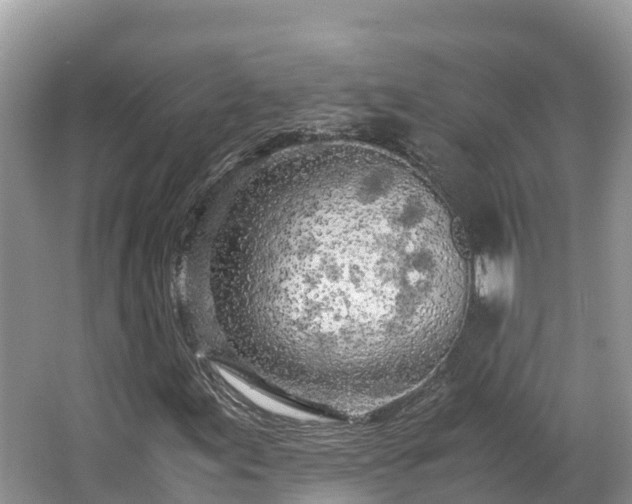 X0000065241155200602211205