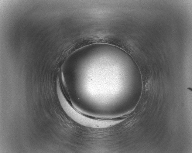 X0000065241156200602211205