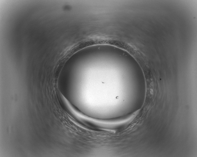 X0000065241157200602211205