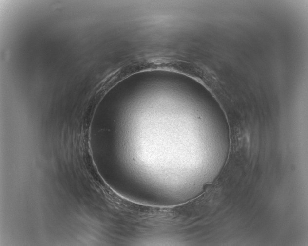 X0000065241158200602211205