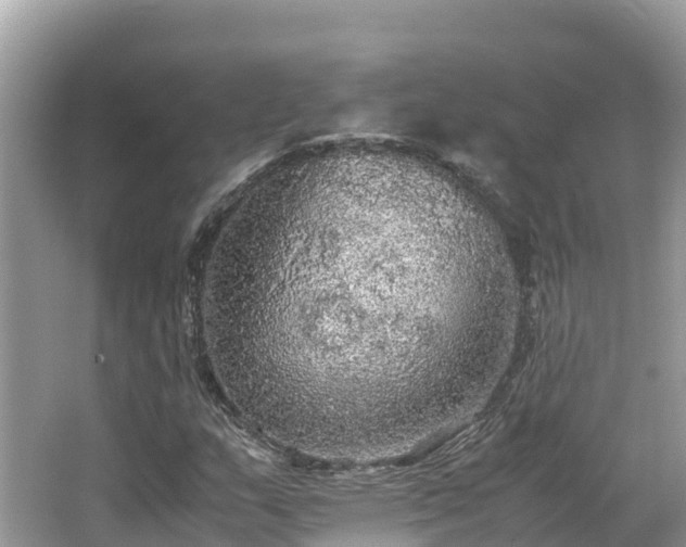 X0000065241159200602211205