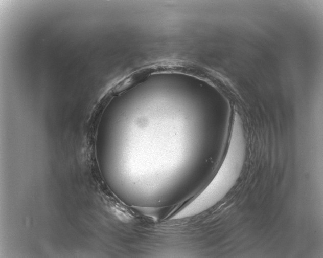 X0000065241160200602211205