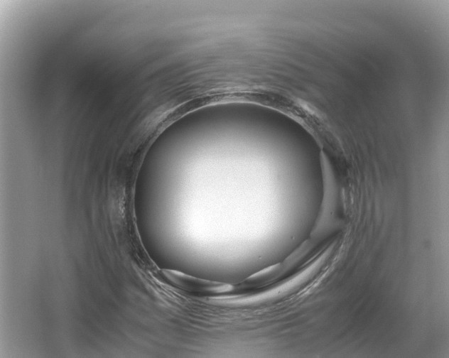 X0000065241161200602211205