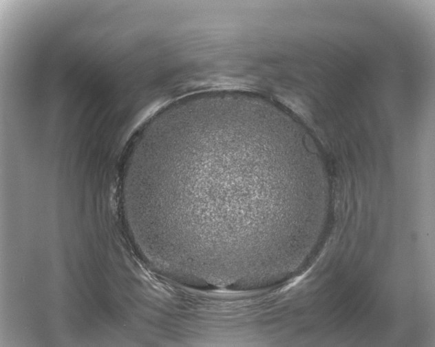 X0000065241163200602211205